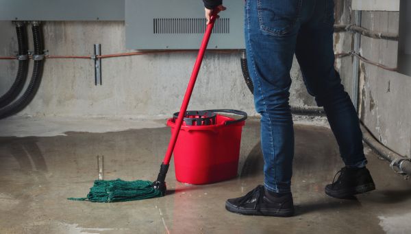 Flooded Basement Cleanup in Morrisville