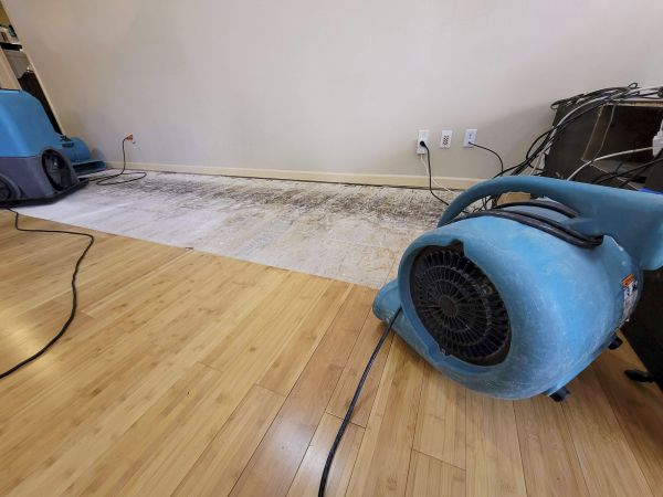 Water Damage Mitigation in Morrisville