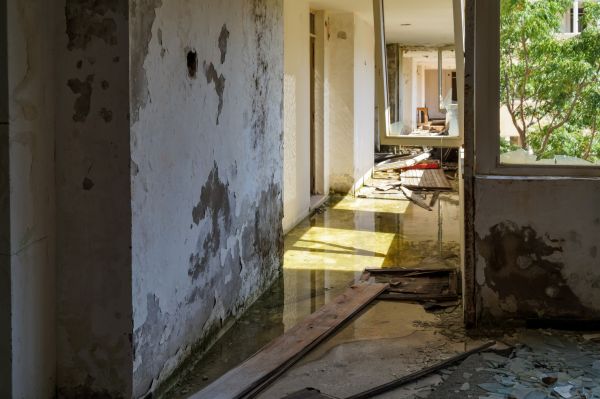 Cost of Water Removal Service in Morrisville