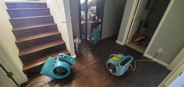 Water Damage Remediation in Morrisville