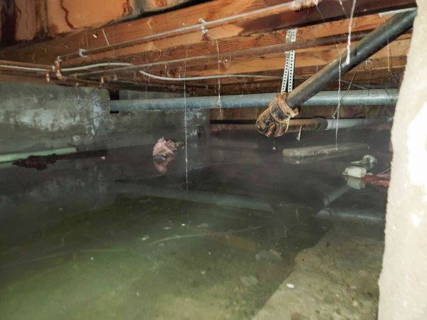 Water Mitigation Service in Morrisville