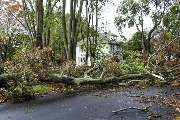 Tornado Damage Repair in Morrisville