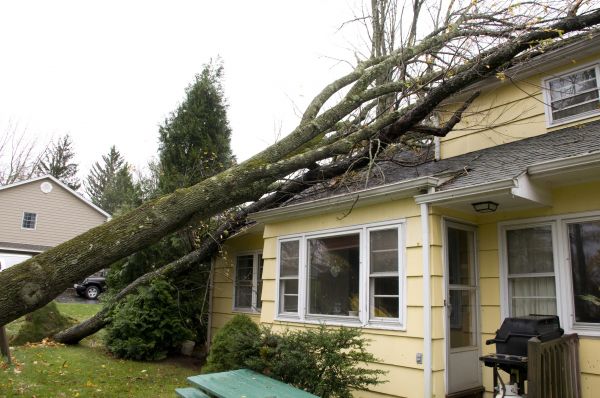 Hurricane Damage Repair in Morrisville