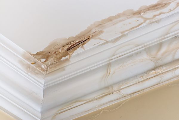 Water Damage Recovery in Morrisville