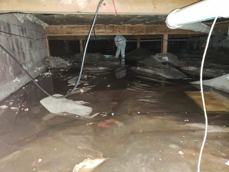 Basement Restoration Service