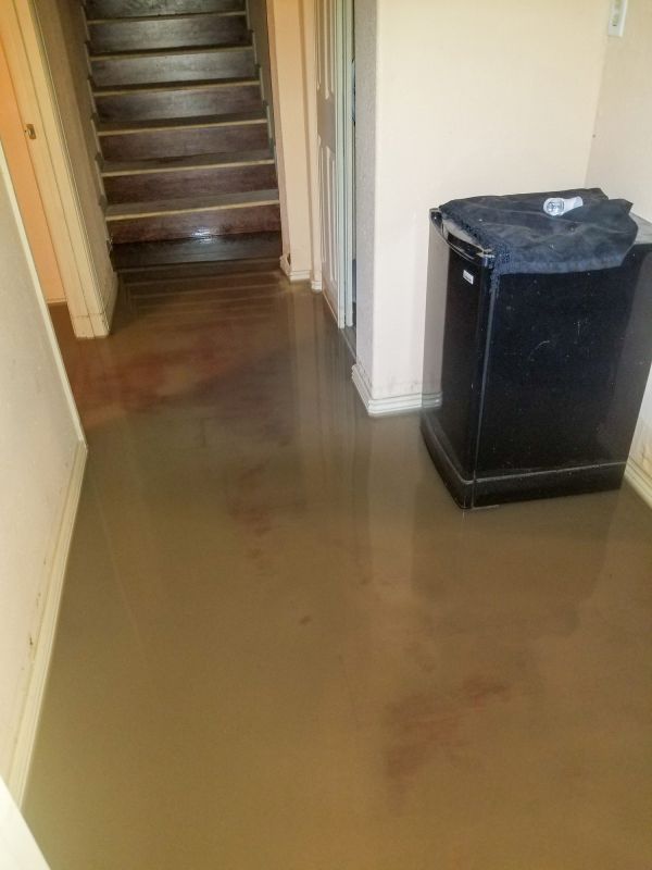 Basement Water Extraction