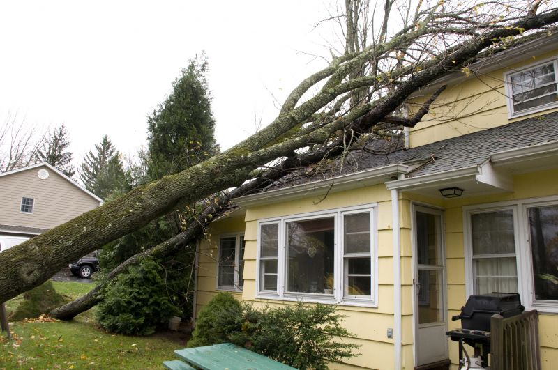 Storm Damage Restoration detail
