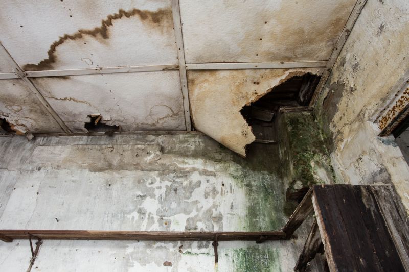 Water Damage Repair